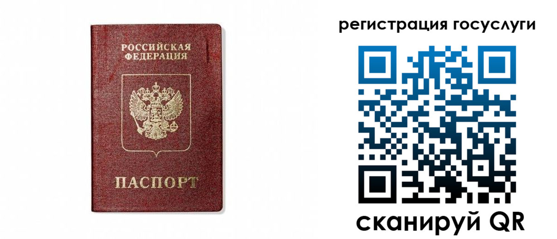 прописка паспорт в Ярославле